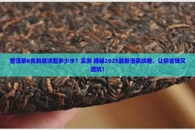 普洱茶8克放多少水泡