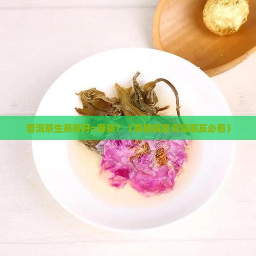普洱茶生茶有籽是春茶吗