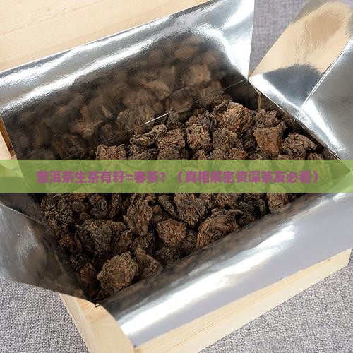 普洱茶生茶有籽是春茶吗