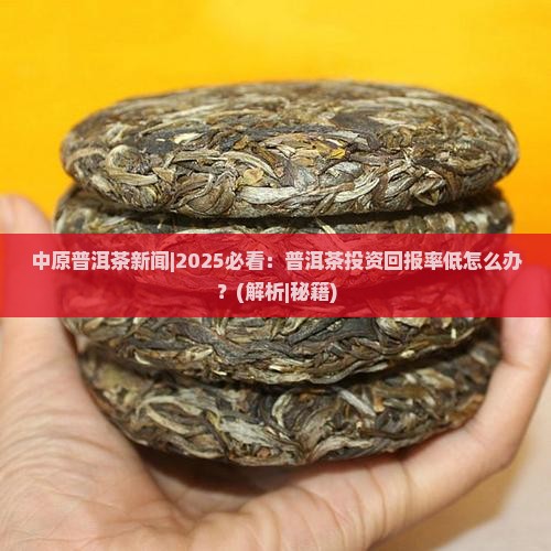 中原普洱茶新闻