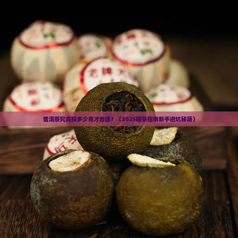 普洱茶投几克合适