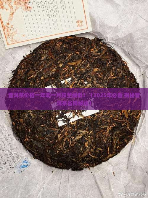 普洱茶何时跌价最低呢