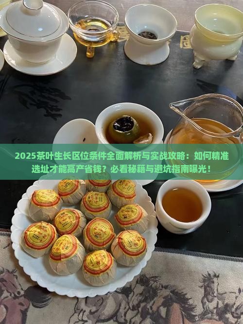 茶叶生长的区位条件