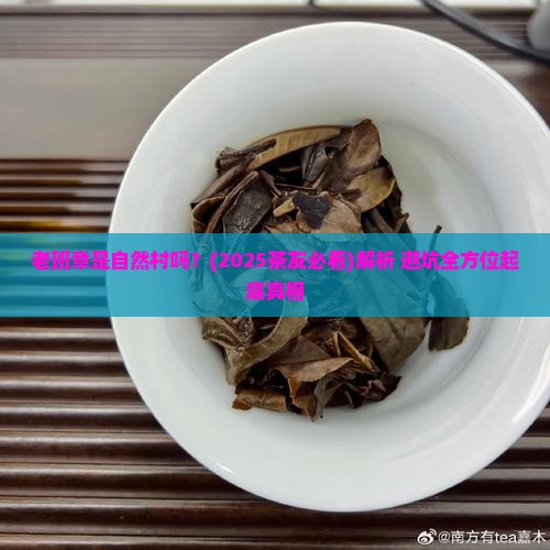 老班章是自然村吗 老班章是自然村吗