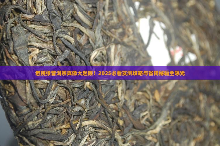 老班张普洱茶好不好