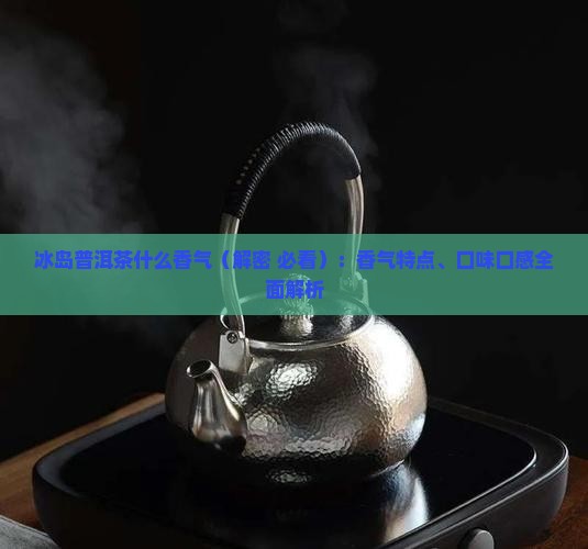 冰岛普洱茶什么香气