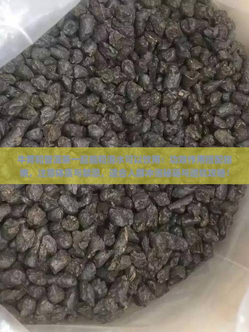 牛蒡根和普洱茶能一起泡吗