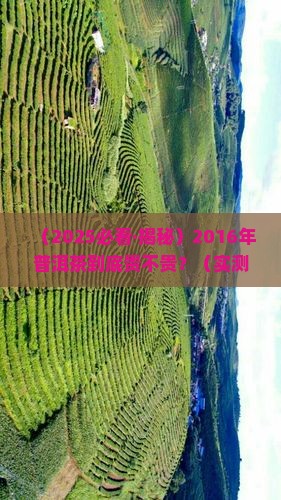 2016年的普洱茶价格