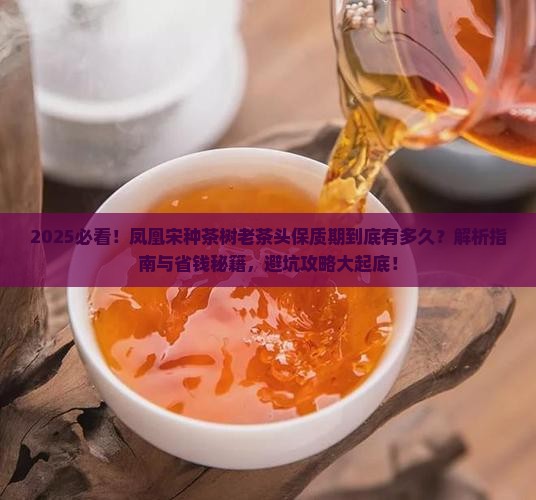 凤凰宋种茶树老茶头保质期是多久 凤凰宋种茶树老茶头保质期是多久