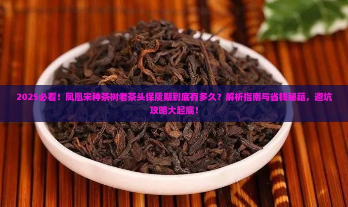 凤凰宋种茶树老茶头保质期是多久 凤凰宋种茶树老茶头保质期是多久