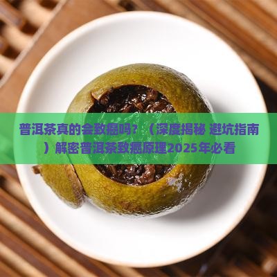 普洱茶致癌的原理