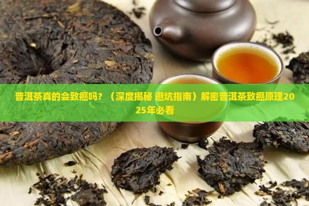 普洱茶致癌的原理