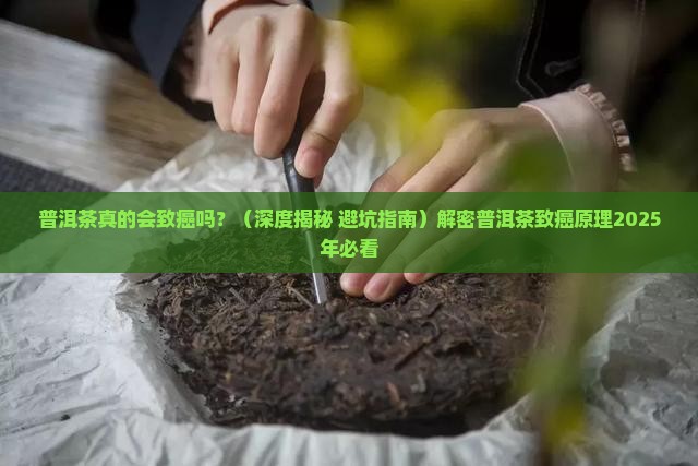 普洱茶致癌的原理