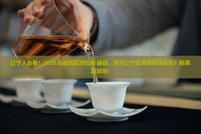 辽宁普洱茶怎么喝