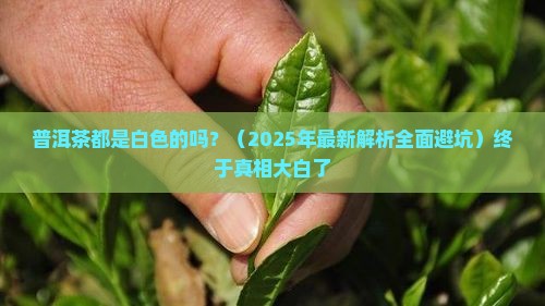 普洱茶都是白色的吗