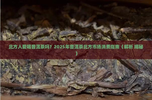 北方人爱喝普洱茶吗
