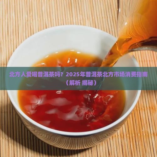 北方人爱喝普洱茶吗