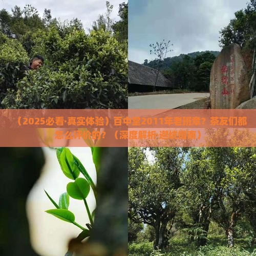 百中堂2011年老班章