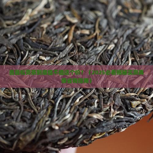 蒋文中曼曼松贡茶