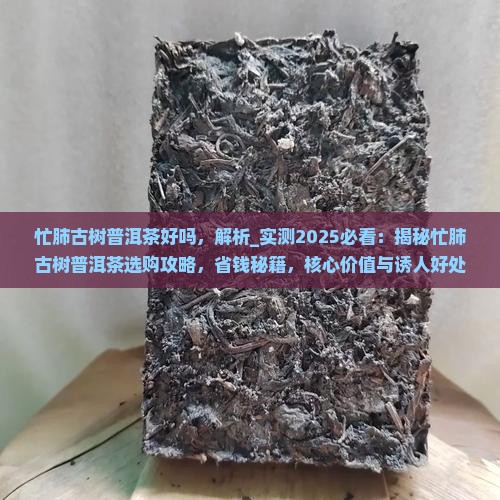 忙肺古树普洱茶好吗