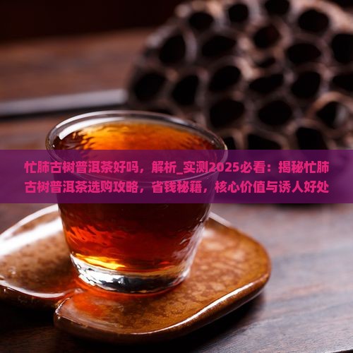 忙肺古树普洱茶好吗