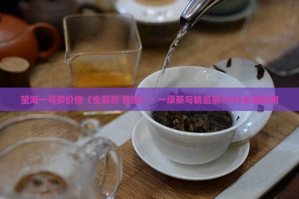 望海一号茶价格