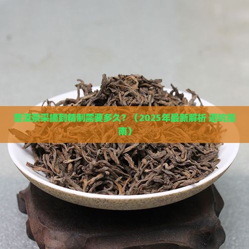普洱茶采摘到精制时间