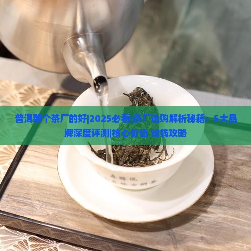 普洱那个茶厂的好