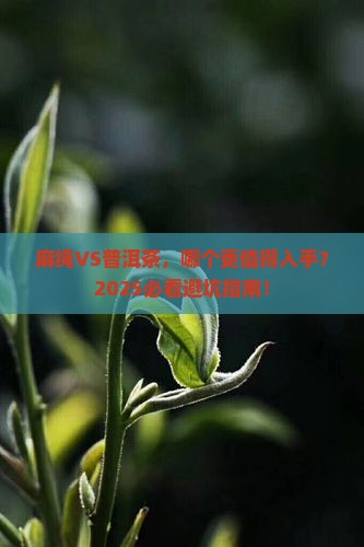 麻绳和普洱茶哪个好