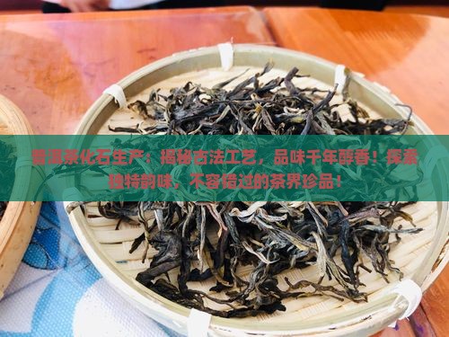 普洱茶化石生产
