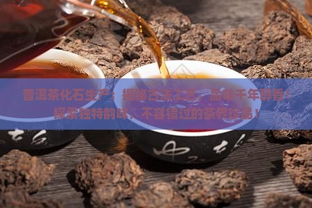 普洱茶化石生产