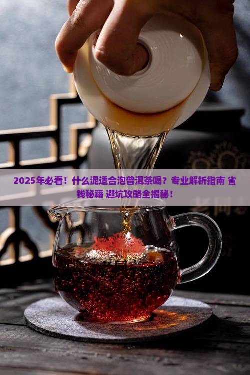什么泥适合泡普洱茶喝