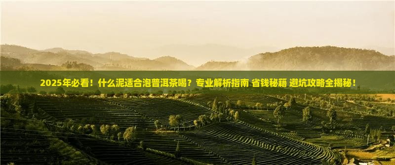什么泥适合泡普洱茶喝