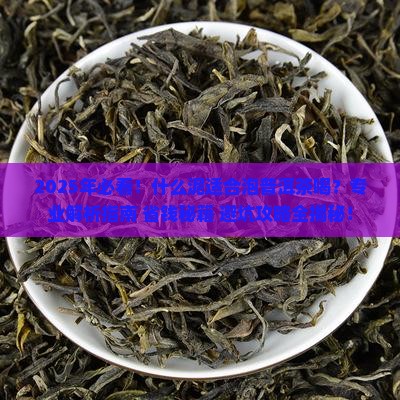 什么泥适合泡普洱茶喝