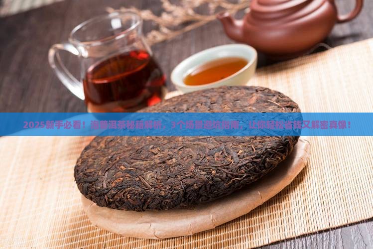 泡普洱茶的基本知识