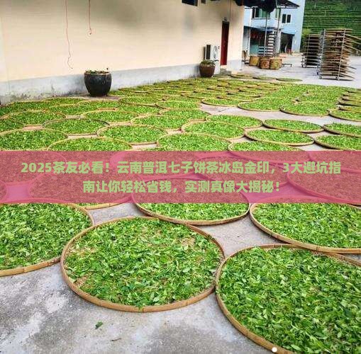 云南普洱七子饼茶冰岛金印