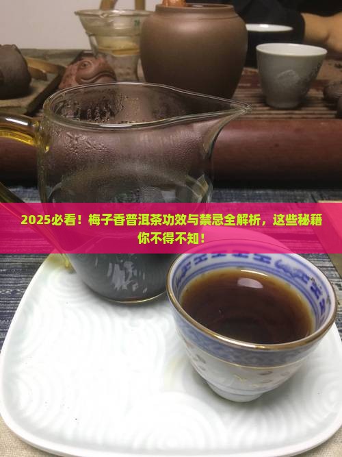 梅子香普洱茶功效与禁忌