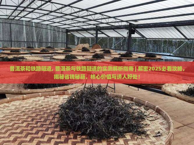 普洱茶和铁路隧道