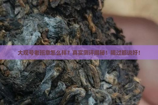 大观号老班章怎么样