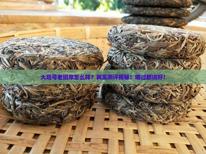 大观号老班章怎么样