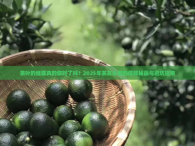 茶叶的储藏应该注意
