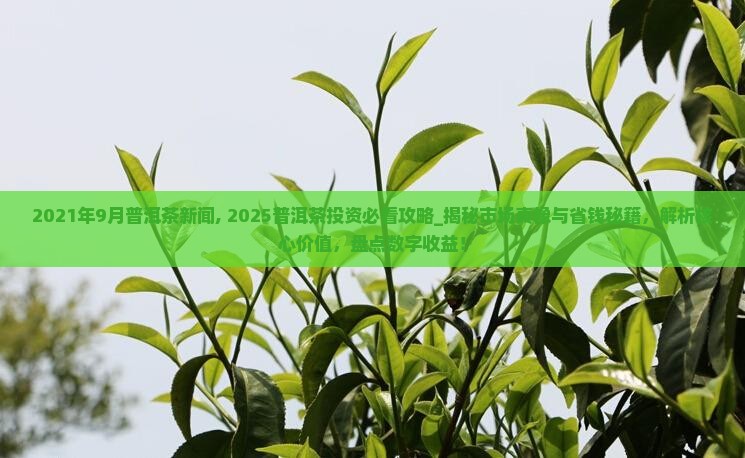 2021年9月普洱茶新闻
