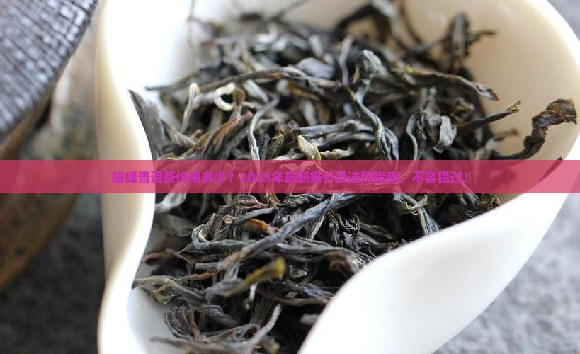 雄峰普洱茶价格多少