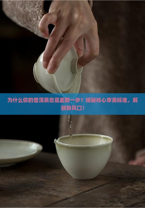 普洱茶的核心审美标准