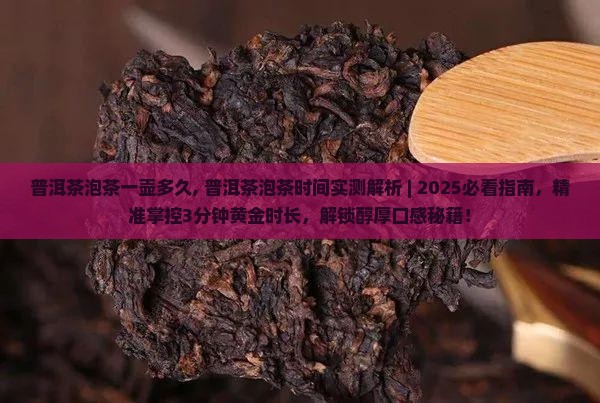 普洱茶泡茶一壶多久