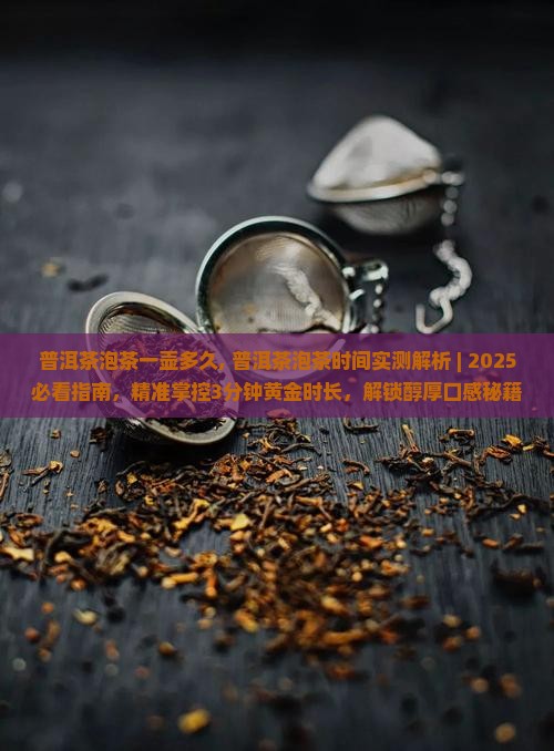 普洱茶泡茶一壶多久
