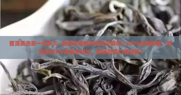 普洱茶泡茶一壶多久