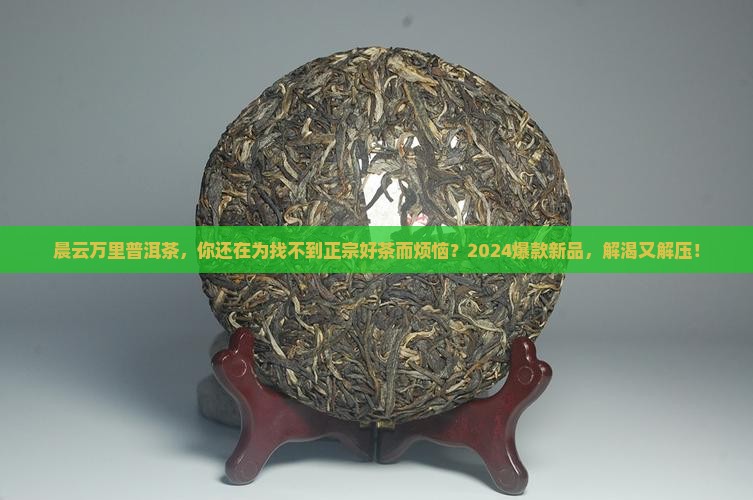 晨云万里普洱茶