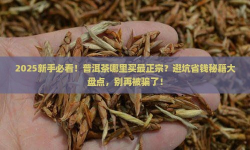 普洱茶到哪里买到正宗的