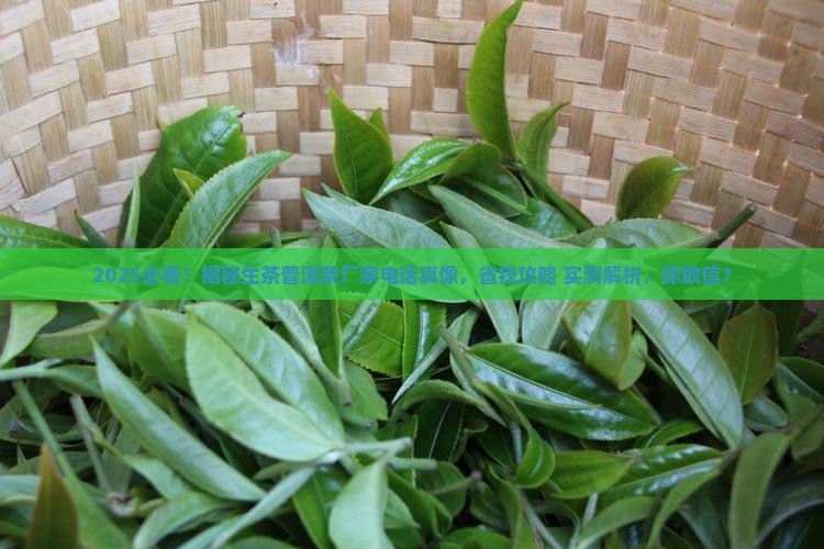 生茶普洱茶厂家电话